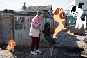 Добровольческая акция "Четвероногие друзья" Приют для бродячих животных Хати