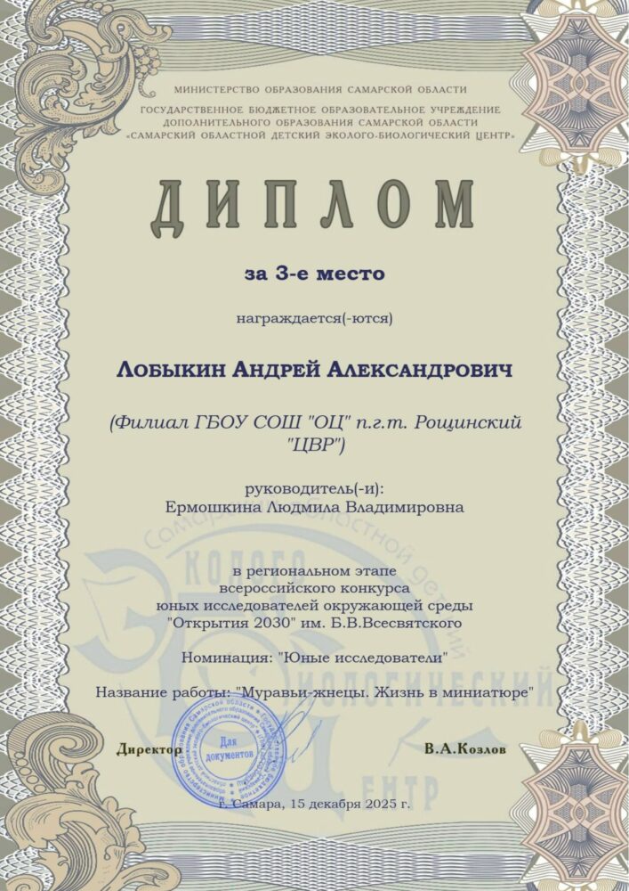 Итоги конкурса «Открытия 2030»