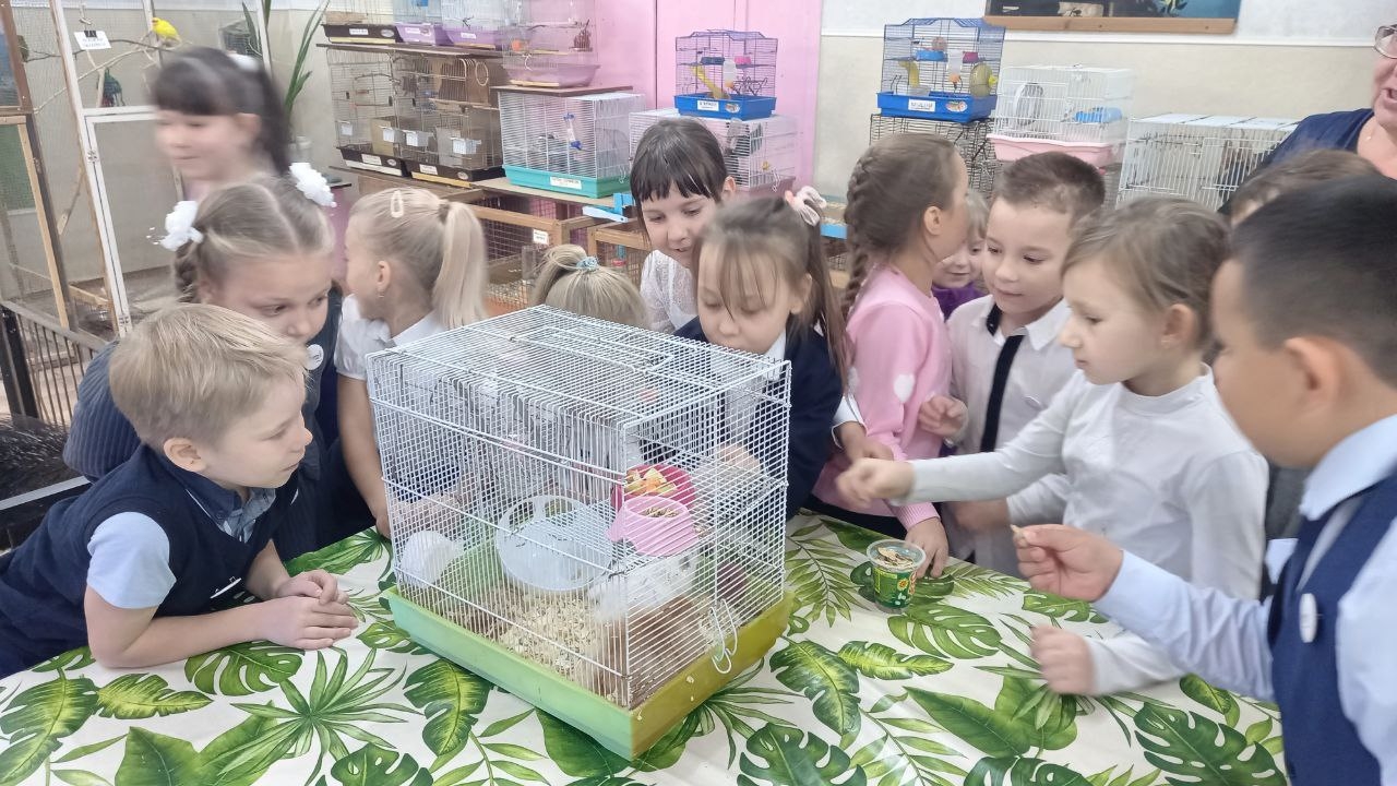 Экскурсия в Живой уголок